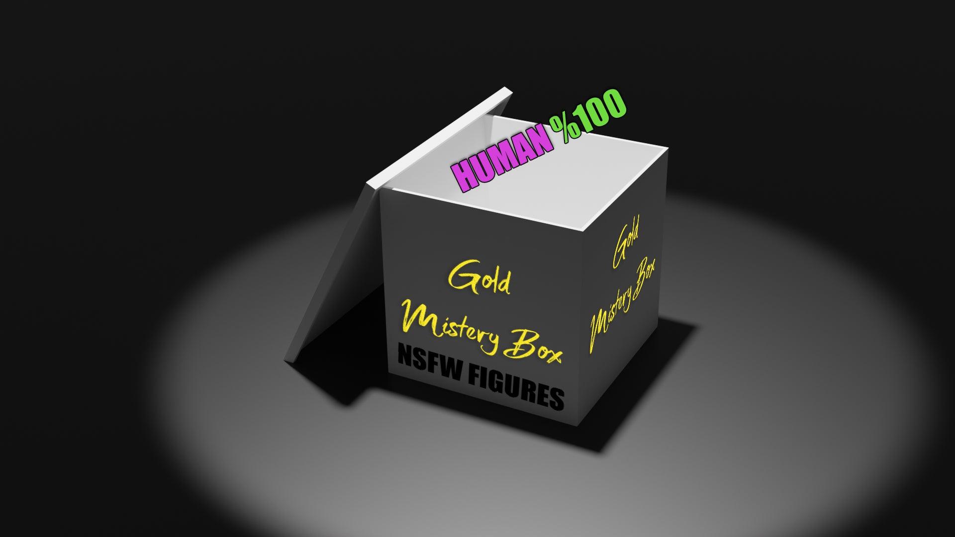 Gold Mystery Box - Human - NSFW FIGURES