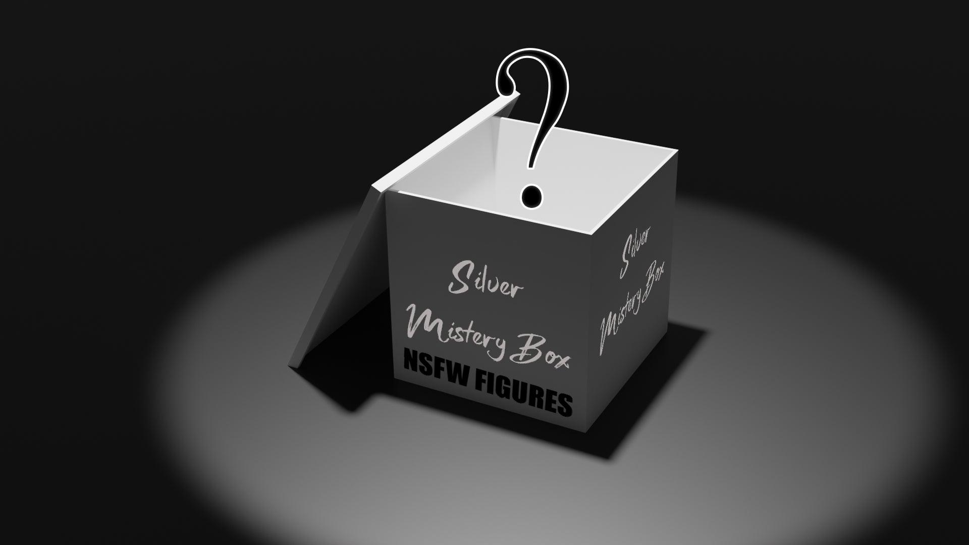 Silver Mistery Box - NSFW FIGURES